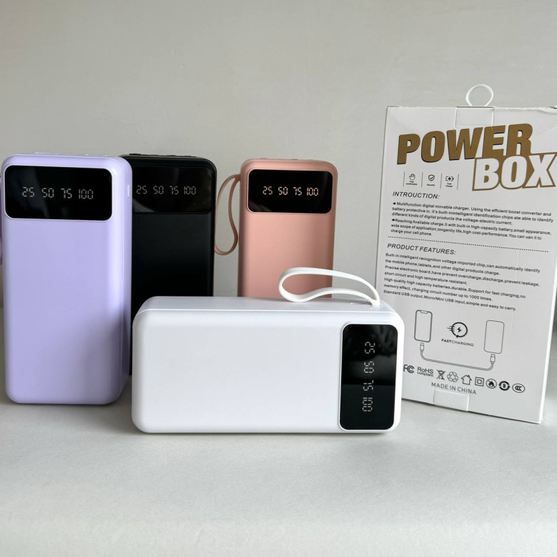 Power Bank Intelligent Fast з кабелем USB+Micro+Type-C+Lightning (30000mAh) Чорний